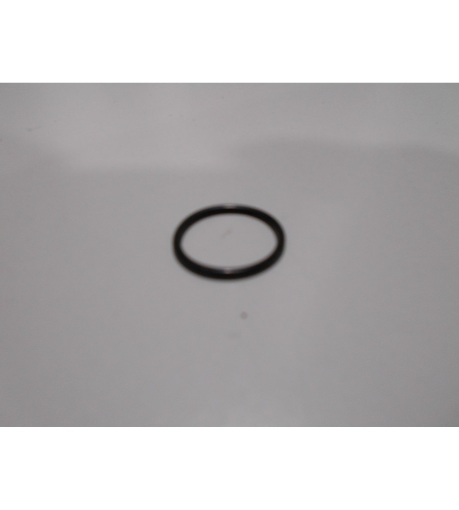 REF.31 JUNTA TAPON INFERIOR CUBETA DELL`ORTO