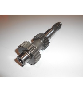 PRIMARY SHAFT 24/19 T