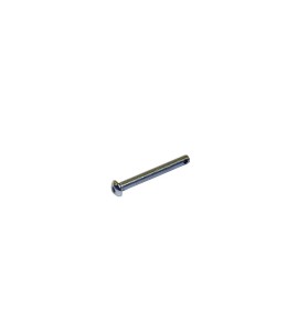Vite TB 5 x 25 forata  10 pcs