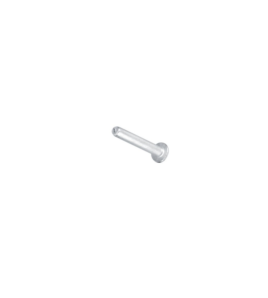 Vite TB 5 x 30  10 pcs