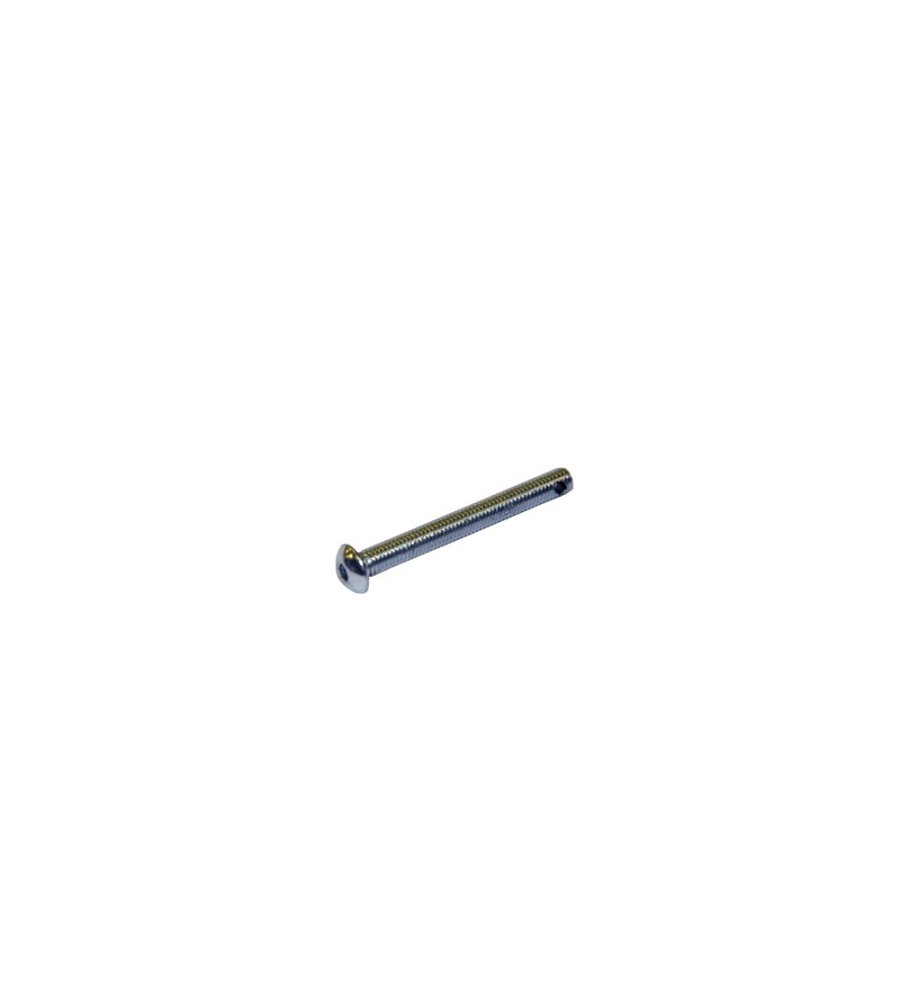 Vite TB 5 x 45 forata  10 pcs