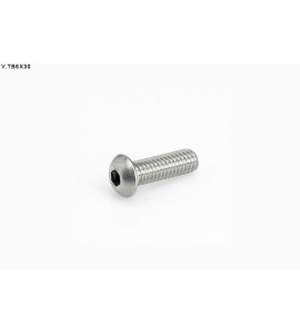 Vite TB 6 x 30  10 pcs