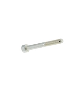 Vite TCEI 6 x 60 forata10 pcs