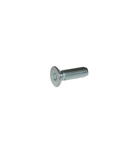 Vite TPSCEI 6 x 30 forata  10 pcs