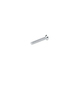 Vite TPSCEI 8 x 55  10 pcs