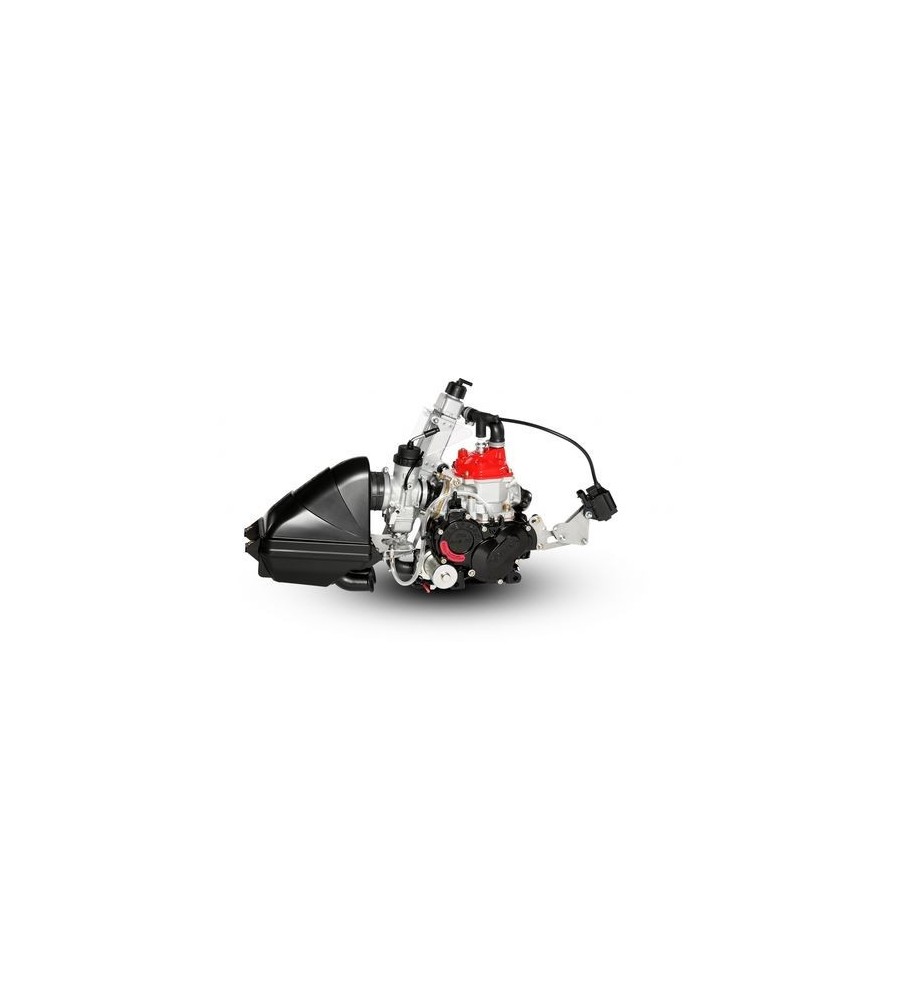 KART MOTOR ROTAX MICRO EVO 2020 (Sin batería)
