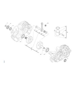 SEGMENTO 54X0.8 mm