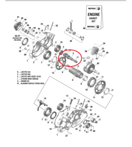 KART PRIMARY SHAFT 24/19 T