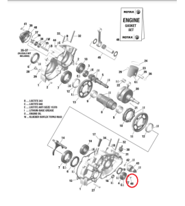 TORNILLO CARTER M5X12-5.8 ROTAX MAX/DD2